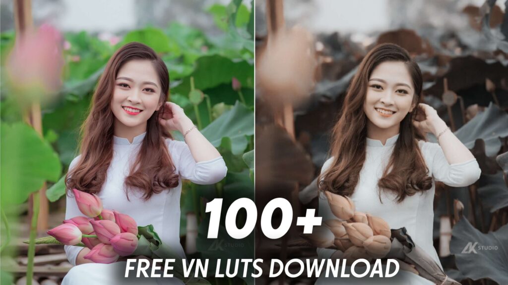 100+ Free Vn Luts
