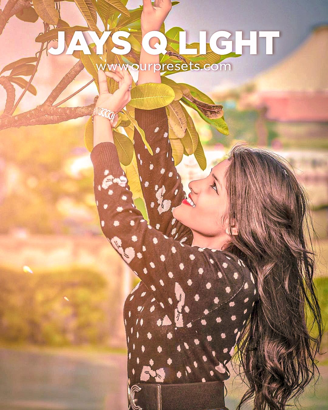 Jayes q light preset