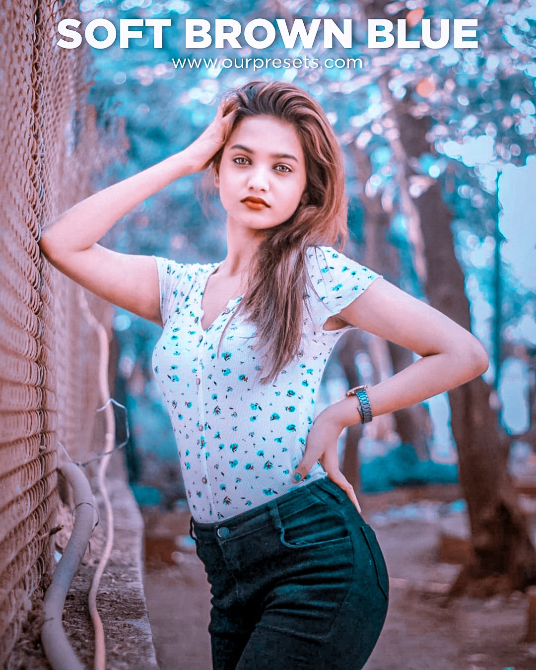 Soft brown blue preset