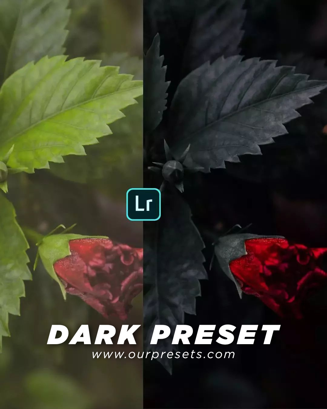 Lightroom dark preset