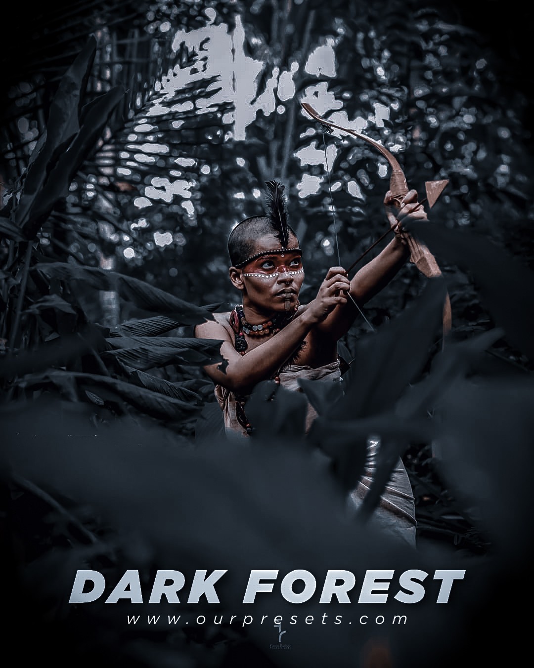 Lightroom dark forest preset