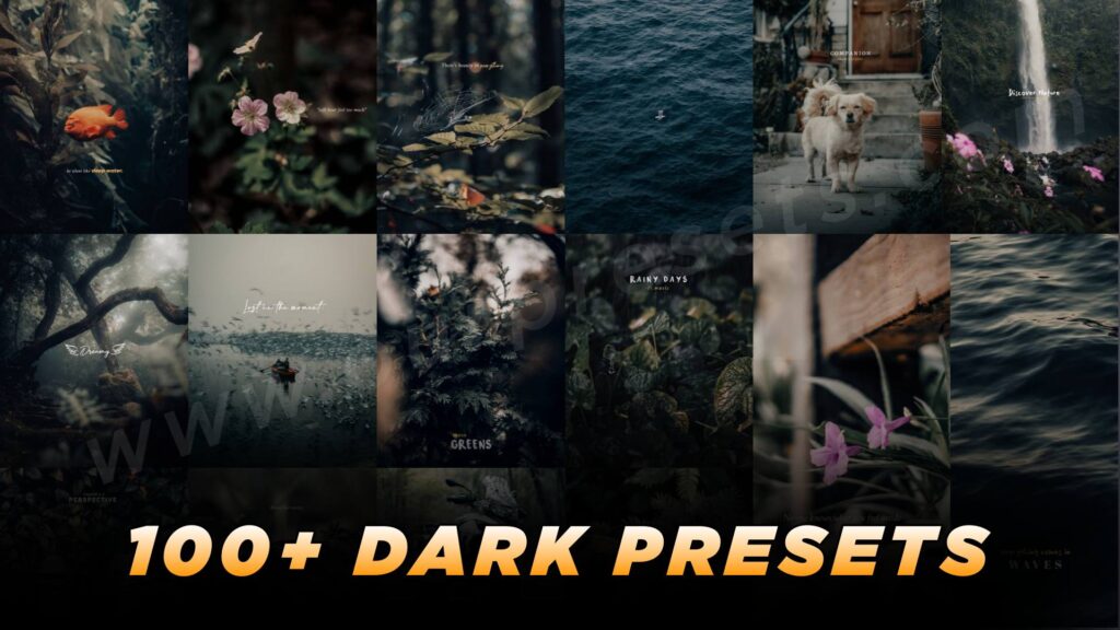 100+ drak tone presets