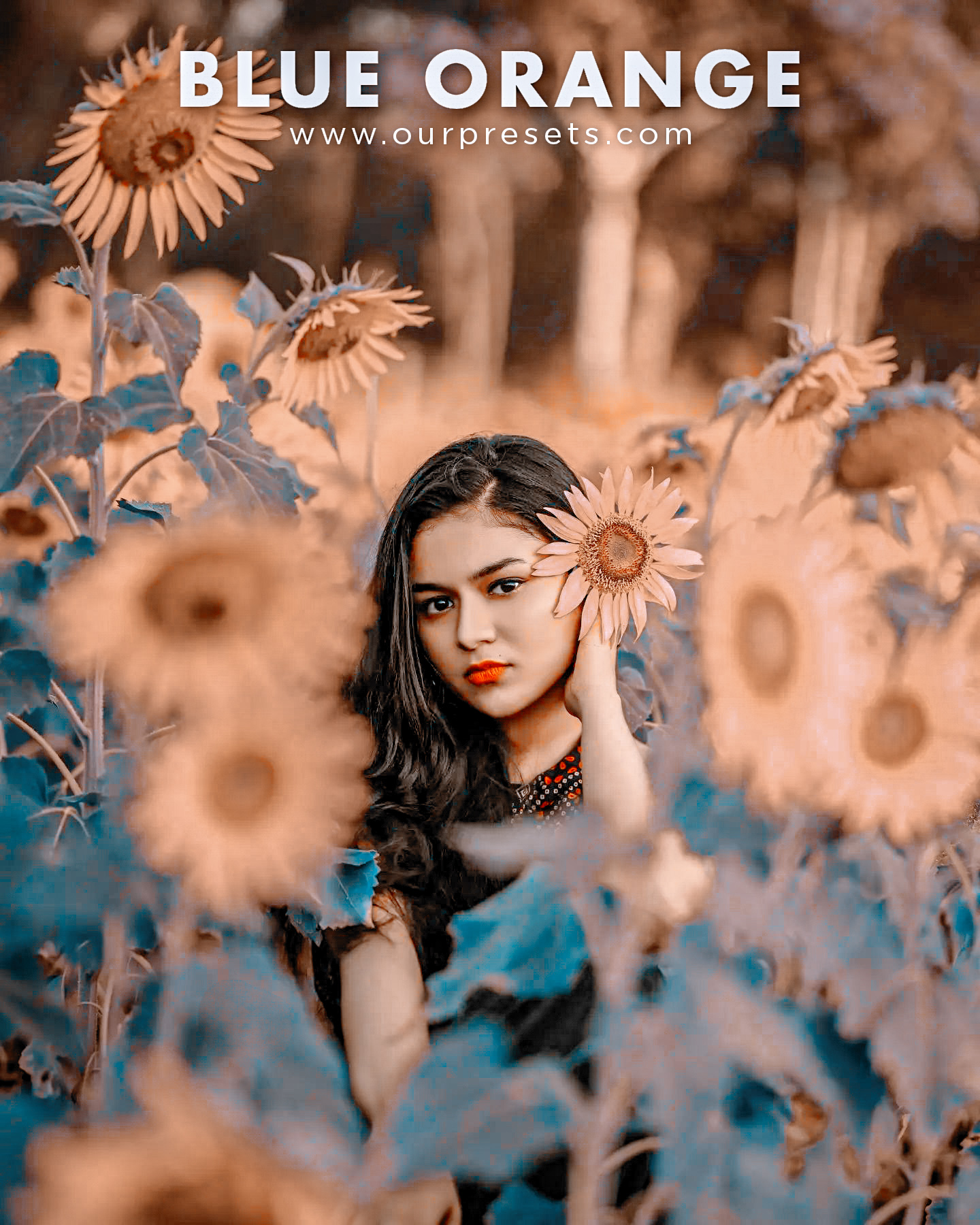 Lightroom blue orange preset