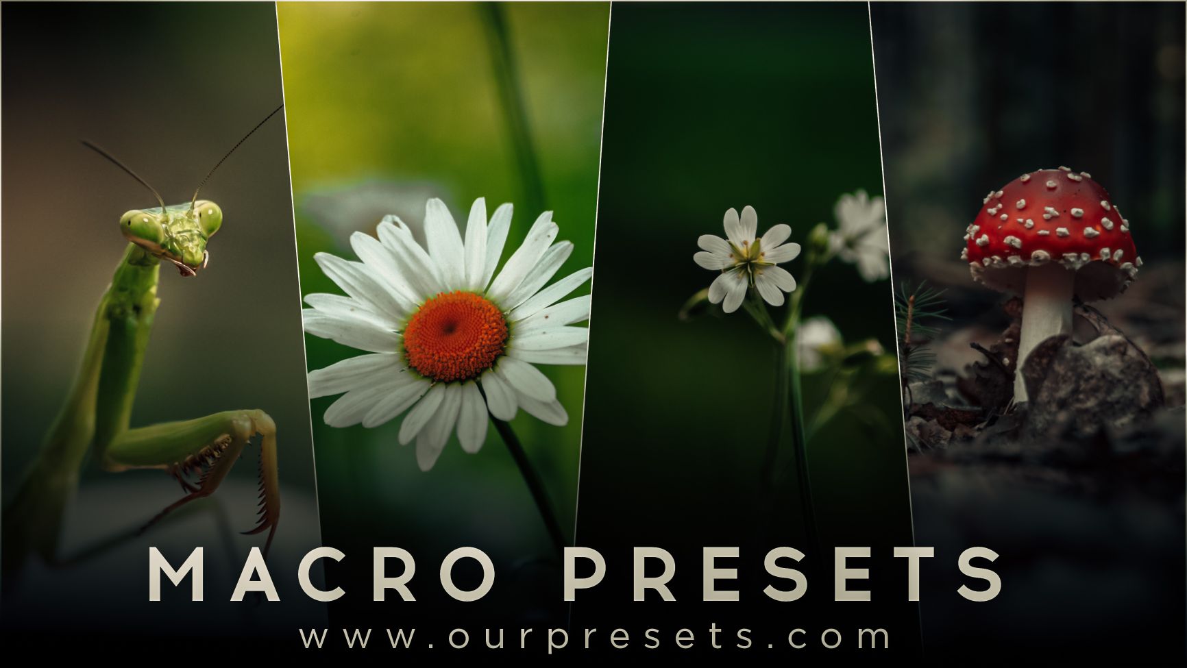 Lightroom Macro Preset