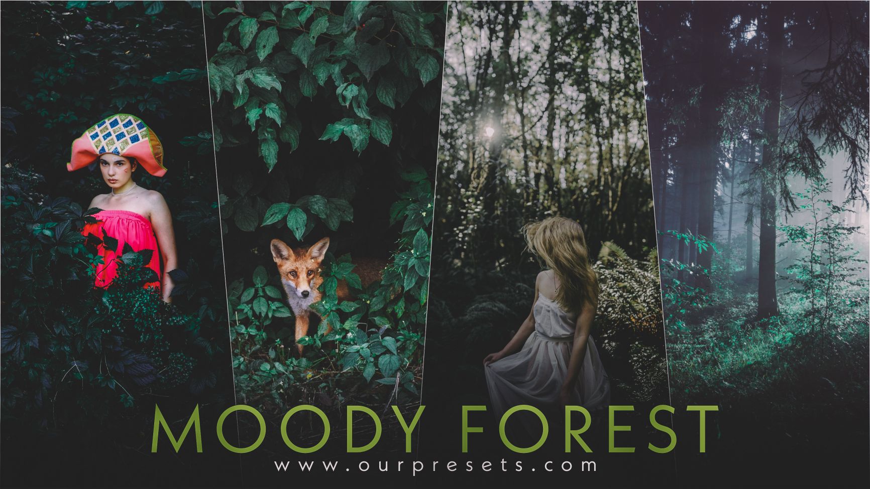 Moody forest lightroom presets