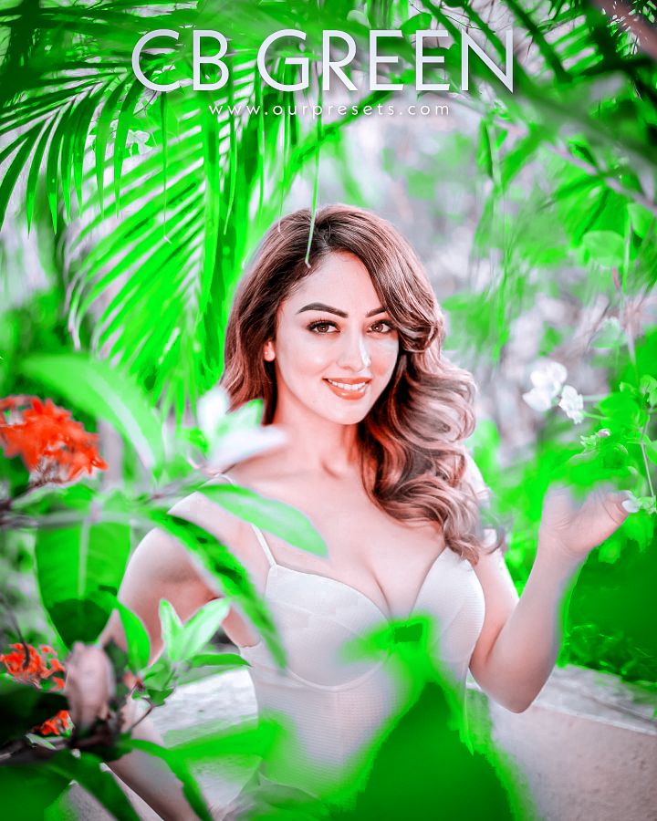 Cb green lightroom presets