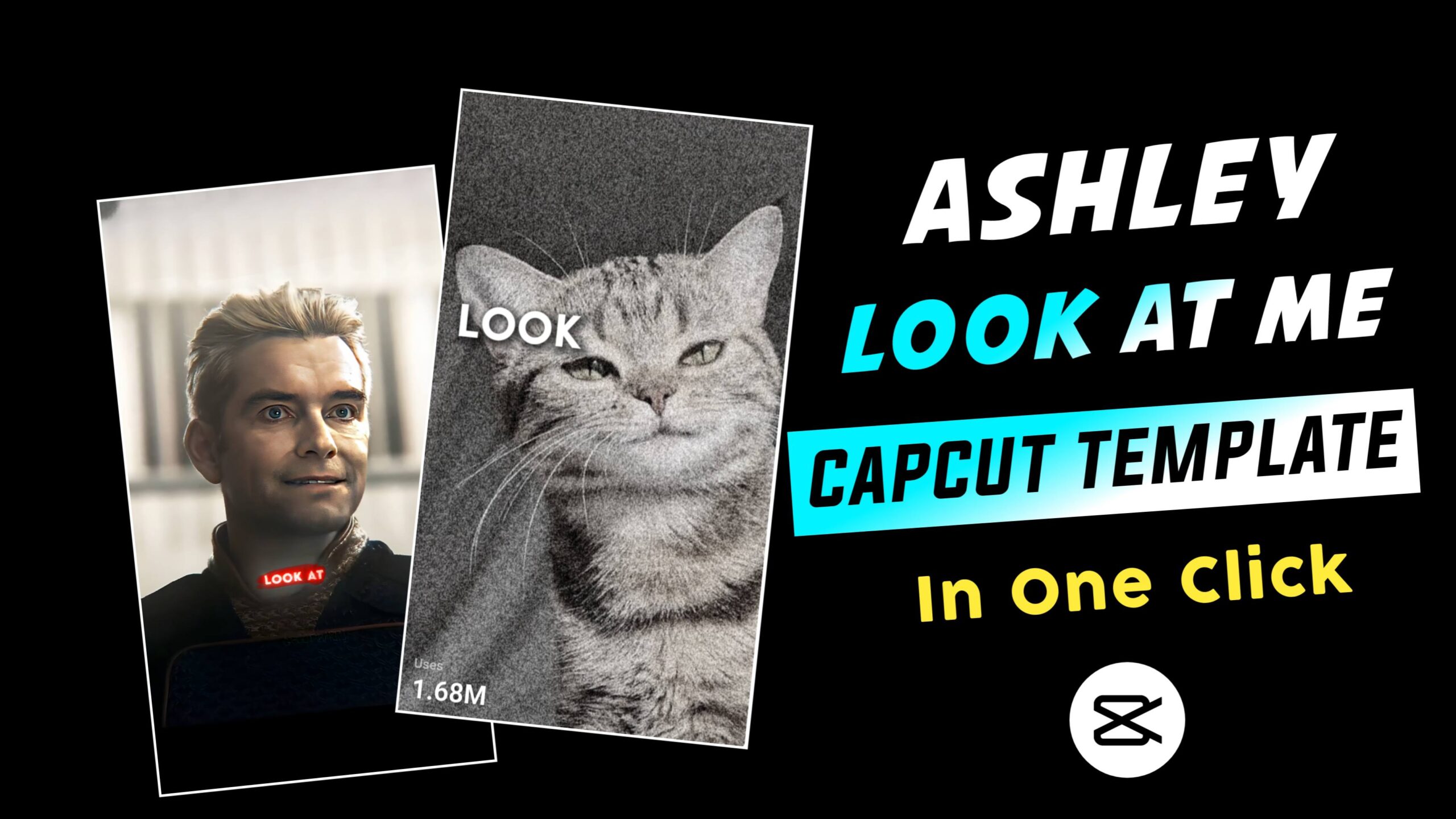 Ashley Look At Me CapCut Template (2)
