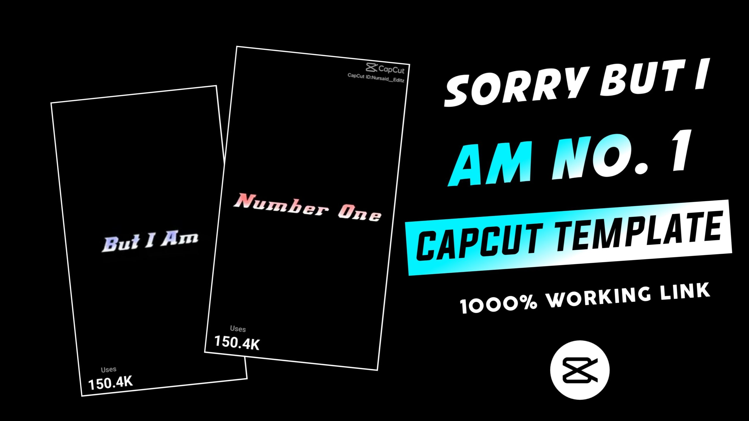 Sorry But I Am No 1 Capcut Template