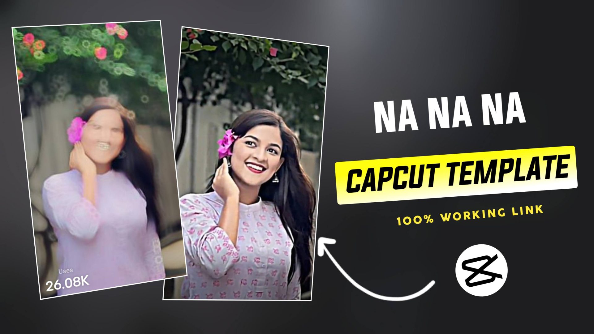 Na Na Na CapCut Template Link 2024 (100% Working Link)