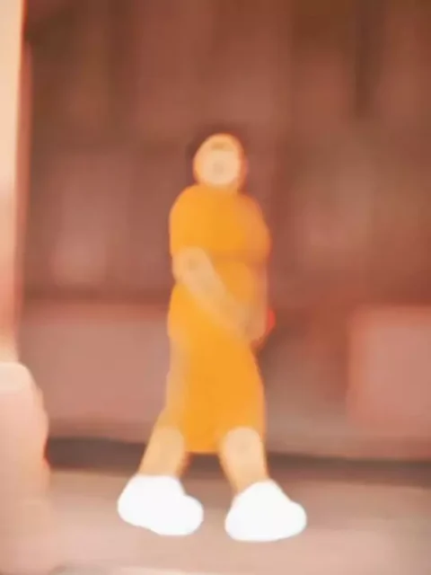 Nili Nii Ankhiya Capcut Template 2025